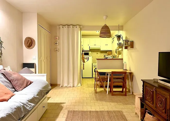 Beautiful Studio Terrace With Esparron Lake View 4 People